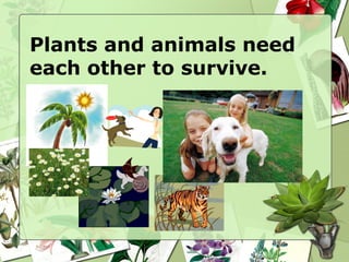 Plants and animals need
each other to survive.
 