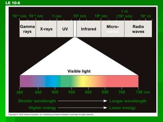 LE 10-6 Visible   light Gamma rays X-rays UV Infrared Micro- waves Radio waves 10 –5  nm 10 –3  nm 1 nm 10 3  nm 10 6  nm 1 m (10 9  nm) 10 3  m 380 450 500 550 600 650 700 750 nm Longer wavelength Lower energy Shorter wavelength Higher energy 