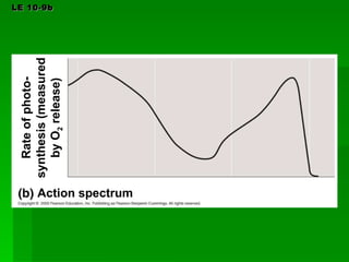 LE 10-9b Action spectrum Rate of photo- synthesis (measured by O 2  release) 