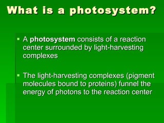 What is a photosystem? A  photosystem  consists of a reaction center surrounded by light-harvesting complexes The light-harvesting complexes (pigment molecules bound to proteins) funnel the energy of photons to the reaction center 