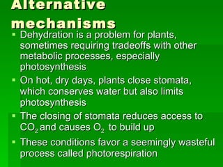 Alternative mechanisms Dehydration is a problem for plants, sometimes requiring tradeoffs with other metabolic processes, especially photosynthesis On hot, dry days, plants close stomata, which conserves water but also limits photosynthesis The closing of stomata reduces access to CO 2  and causes O 2  to build up These conditions favor a seemingly wasteful process called photorespiration 