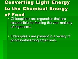 Converting Light Energy to the Chemical Energy of Food Chloroplasts are organelles that are responsible for feeding the vast majority of organisms. Chloroplasts are present in a variety of photosynthesizing organisms. 