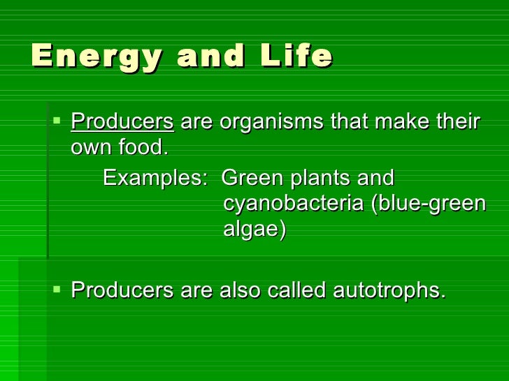 The Process By Which Green Plants Make Food Is Called The Process By Which Green Plants Make Food Is Called