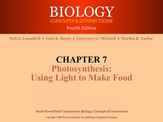 CHAPTER 7 Photosynthesis: Using Light to Make Food 