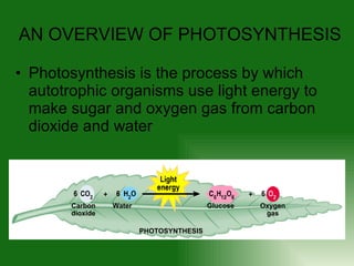 Photosynthesis is the process by which autotrophic organisms use light energy to make sugar and oxygen gas from carbon dioxide and water  AN OVERVIEW OF PHOTOSYNTHESIS Carbon dioxide Water Glucose Oxygen gas PHOTOSYNTHESIS 