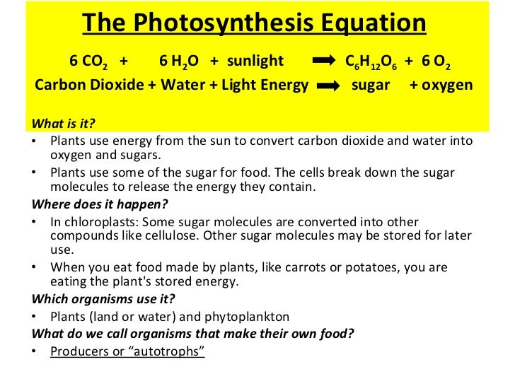 Photosythesis formula