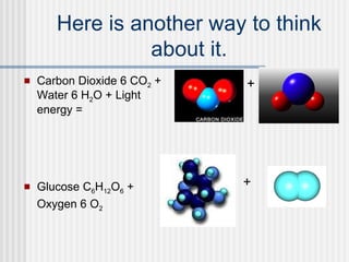 Here is another way to think about it. Carbon Dioxide 6 CO 2  + Water 6 H 2 O + Light energy = Glucose C 6 H 12 O 6  + Oxygen 6 O 2 + + 