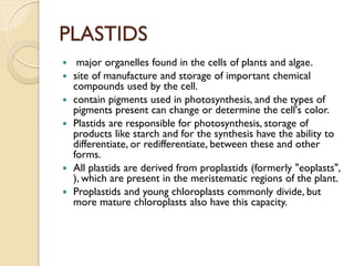 PLASTIDS
    major organelles found in the cells of plants and algae.
   site of manufacture and storage of important chemical
    compounds used by the cell.
   contain pigments used in photosynthesis, and the types of
    pigments present can change or determine the cell's color.
   Plastids are responsible for photosynthesis, storage of
    products like starch and for the synthesis have the ability to
    differentiate, or redifferentiate, between these and other
    forms.
   All plastids are derived from proplastids (formerly "eoplasts",
    ), which are present in the meristematic regions of the plant.
   Proplastids and young chloroplasts commonly divide, but
    more mature chloroplasts also have this capacity.
 