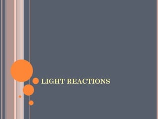 LIGHT REACTIONS
 