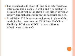  The propionyl side chain of Ring IV is esterified to a
  tetraisoprenoid alcohol. In Chl a and b as well as in
  BChl b it is phytol but in BChl a it is either phytol or
  geranylgeraniol, depending on the bacterial species.
 In addition, Chl b has a formyl group in place of the
  methyl substituent to atom C3 of Ring II of Chl a.
  Similarly, BChl a and BChl b have different
  substituents to atom C4.
 