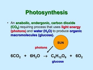 Photosynthesis
• An anabolic, endergonic, carbon dioxide
  (CO2) requiring process that uses light energy
  (photons) and water (H2O) to produce organic
  macromolecules (glucose).

                                SUN
                 photons

  6CO2 + 6H2O  C6H12O6 + 6O2
                            glucose
 