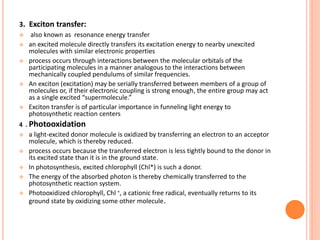 3. Exciton transfer:
    also known as resonance energy transfer
   an excited molecule directly transfers its excitation energy to nearby unexcited
    molecules with similar electronic properties
   process occurs through interactions between the molecular orbitals of the
    participating molecules in a manner analogous to the interactions between
    mechanically coupled pendulums of similar frequencies.
   An exciton (excitation) may be serially transferred between members of a group of
    molecules or, if their electronic coupling is strong enough, the entire group may act
    as a single excited “supermolecule.”
   Exciton transfer is of particular importance in funneling light energy to
    photosynthetic reaction centers
4 . Photooxidation
   a light-excited donor molecule is oxidized by transferring an electron to an acceptor
    molecule, which is thereby reduced.
   process occurs because the transferred electron is less tightly bound to the donor in
    its excited state than it is in the ground state.
   In photosynthesis, excited chlorophyll (Chl*) is such a donor.
   The energy of the absorbed photon is thereby chemically transferred to the
    photosynthetic reaction system.
   Photooxidized chlorophyll, Chl +, a cationic free radical, eventually returns to its
    ground state by oxidizing some other molecule.
 