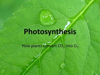 Photosynthesis
How plants convert CO2 into O2
 