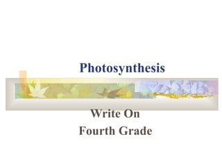 Photosynthesis


  Write On
Fourth Grade
 