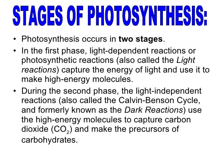 Photosynthesis