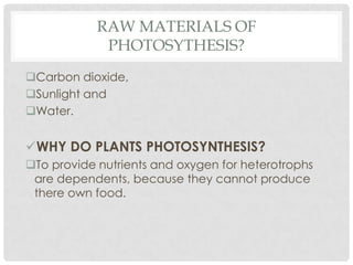 RAW MATERIALS OF
             PHOTOSYTHESIS?
Carbon dioxide,
Sunlight and
Water.


WHY DO PLANTS PHOTOSYNTHESIS?
To provide nutrients and oxygen for heterotrophs
 are dependents, because they cannot produce
 there own food.
 