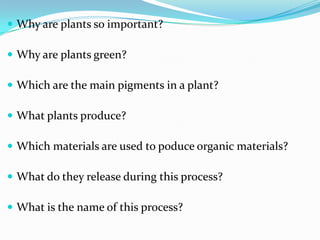  Why are plants so important?

 Why are plants green?

 Which are the main pigments in a plant?

 What plants produce?

 Which materials are used to poduce organic materials?

 What do they release during this process?

 What is the name of this process?
 