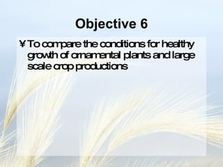Objective 6 To compare the conditions for healthy growth of ornamental plants and large scale crop productions 