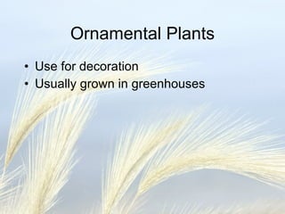 Ornamental Plants Use for decoration Usually grown in greenhouses 