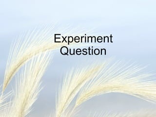 Experiment Question 