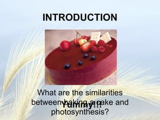 INTRODUCTION Yummy!!! What are the similarities between baking a cake and photosynthesis? 