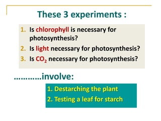 These 3 experiments :
 1. Is chlorophyll is necessary for
    photosynthesis?
 2. Is light necessary for photosynthesis?
 3. Is CO2 necessary for photosynthesis?

…………involve:
          1. Destarching the plant
          2. Testing a leaf for starch
 