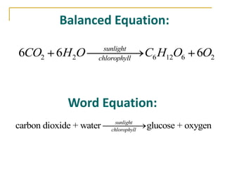 Balanced Equation:
                       sunlight
6CO2 6H 2O           chlorophyll
                                       C6 H12O6 6O2



             Word Equation:
                           sunlight
carbon dioxide + water   chlorophyll
                                       glucose + oxygen
 