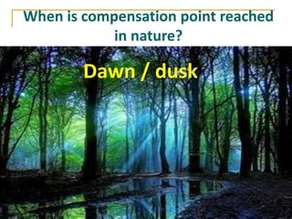 When is compensation point reached
            in nature?

        Dawn / dusk
 