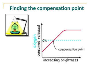 Finding the compensation point
 