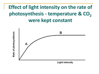 Effect of light intensity on the rate of
photosynthesis - temperature & CO2
          were kept constant
 