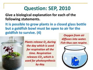 Question: SEP, 2010
Give a biological explanation for each of the
following statements.
It is possible to grow plants in a closed glass bottle
but a goldfish bowl must be open to air for the
goldfish to survive. (4)
                                          Oxygen from air
                                        diffuses into water.
            Plants release O2 during   Fish thus can respire.
             the day which is used
             for respiration all the
               time. Respiration
             releases CO2 which is
            used for photosynthesis
                     by day.
 