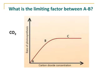 What is the limiting factor between A-B?



CO2
 