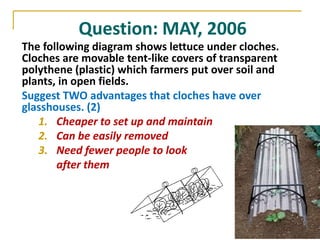 Question: MAY, 2006
The following diagram shows lettuce under cloches.
Cloches are movable tent-like covers of transparent
polythene (plastic) which farmers put over soil and
plants, in open fields.
Suggest TWO advantages that cloches have over
glasshouses. (2)
   1. Cheaper to set up and maintain
   2. Can be easily removed
   3. Need fewer people to look
       after them
 