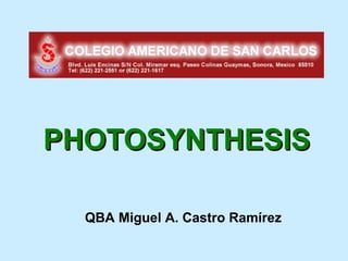 PHOTOSYNTHESIS

  QBA Miguel A. Castro Ramírez
 