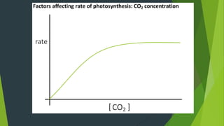 plateau
At low CO2 concentration, rate is
positively correlated with concentration
CO2 is a substrate in an
enyme-catalysed light-
dependent reaction.
 