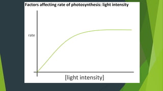 At low light intensity, rate of photosynthesis is
proportional to light intensity.
plateau
 