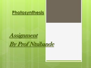 Photosynthesis
Assignment
By Prof Ntsibande
 