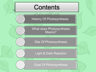 History Of Photosynthesis
What does Photosynthesis
Means?
Site Of Photosynthesis
Light & Dark Reaction
Goal Of Photosynthesis
 