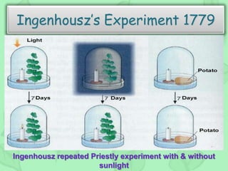 Ingenhousz’s Experiment 1779
Ingenhousz repeated Priestly experiment with & without
sunlight
 