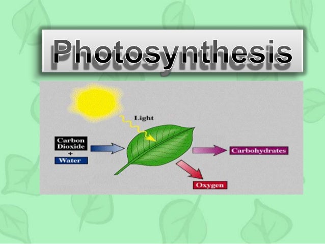Photosynthesis Photosynthesis