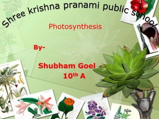 Photosynthesis
By-

Shubham Goel
10th A

 