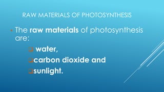 RAW MATERIALS OF PHOTOSYNTHESIS
•

The raw materials of photosynthesis
are:
 water,
carbon dioxide and
sunlight.

 