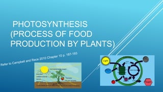 PHOTOSYNTHESIS
(PROCESS OF FOOD
PRODUCTION BY PLANTS)

 