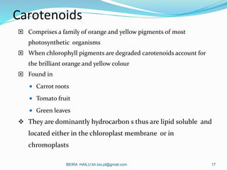 Carotenoids
 Comprises a family of orange and yellow pigments of most
photosynthetic organisms
 When chlorophyll pigment...