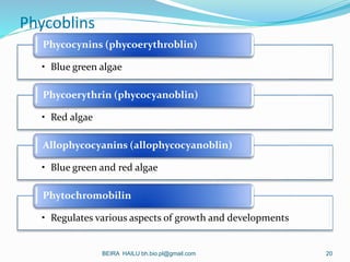 Phycoblins
• Blue green algae
Phycocynins (phycoerythroblin)
• Red algae
Phycoerythrin (phycocyanoblin)
• Blue green and r...