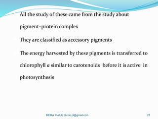  All the study of these came from the study about
pigment–protein complex
 They are classified as accessory pigments
 T...