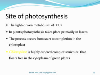 Site of photosynthesis
 The light–driven metabolism of CO2
 In plants photosynthesis takes place primarily in leaves
 T...