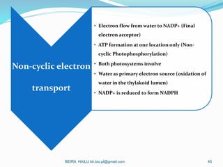 Non-cyclic electron
transport
• Electron flow from water to NADP+ (Final
electron acceptor)
• ATP formation at one locatio...
