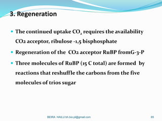 3. Regeneration
 The continued uptake CO2 requires the availability
CO2 acceptor, ribulose -1,5 bisphosphate
 Regenerati...