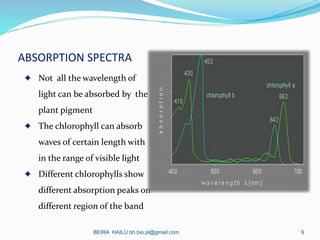 ABSORPTION SPECTRA
 Not all the wavelength of
light can be absorbed by the
plant pigment
 The chlorophyll can absorb
wav...